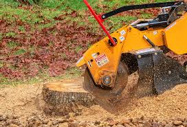 Best Utility Line Clearance  in Oakdale, NY