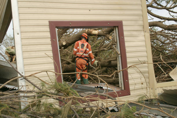 Best Tree Health Inspection  in Oakdale, NY